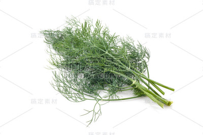 莳萝