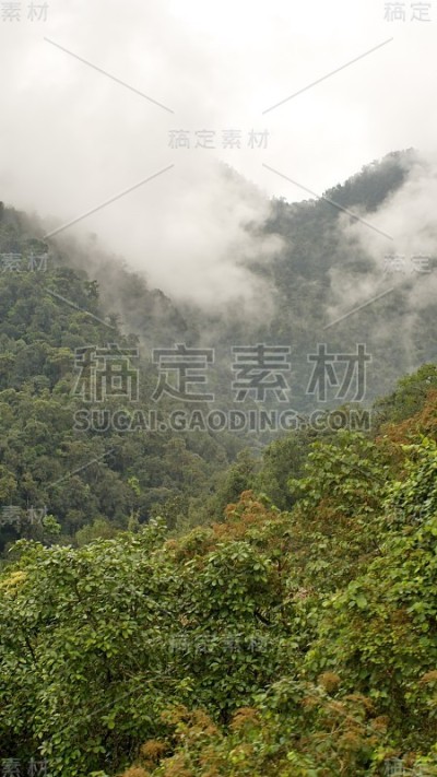 云滚进峡谷