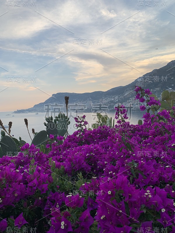 蒙特卡洛海全景