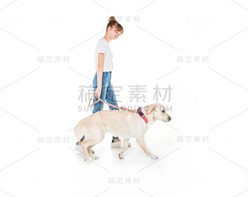 漂亮的少女和她美丽的金毛猎犬在白色的背景