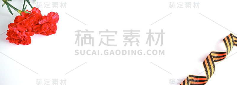 三朵红色康乃馨花和象征二战胜利的圣乔治丝带，背景为白色。5月9日(胜利日)的贺卡。横幅。