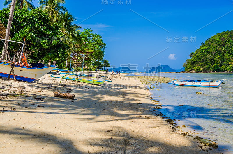 岸边的渔船在棕榈树下。热带岛屿的风景。El- Nido，巴拉望，菲律宾