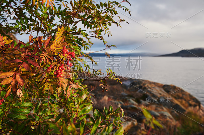 美丽的夏日景观抛弃艺术自然海防北捷里别尔卡，巴伦支海景。