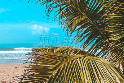 中国海南岛的绿色海洋海岸和海滩。