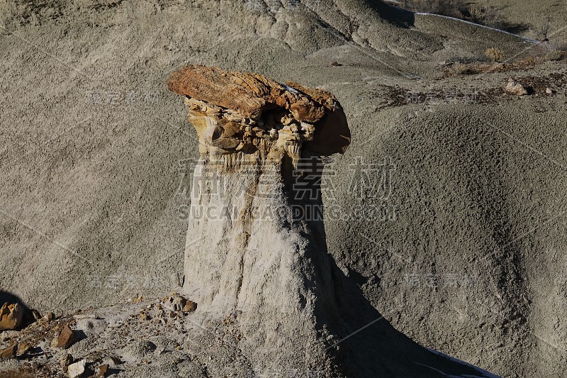 德纳津荒野地区，比斯提荒地，美国新墨西哥州