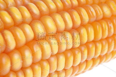玉米