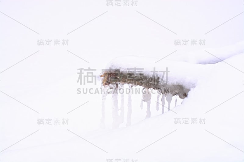 雪和冰覆盖的树枝极简