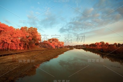 额济纳的秋日清晨
