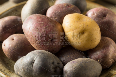 生有机彩虹小土豆