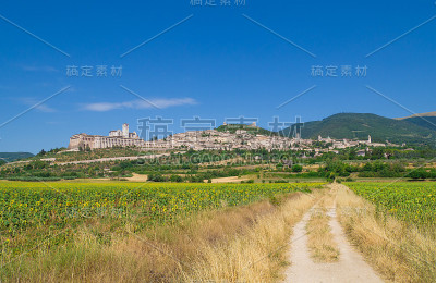 阿西西,翁布里亚(意大利)
