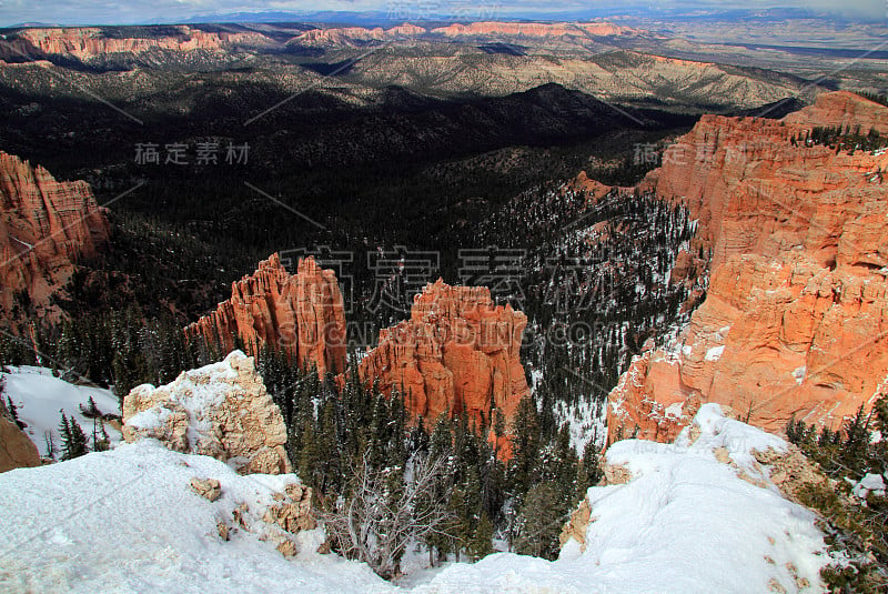 下雪的景色