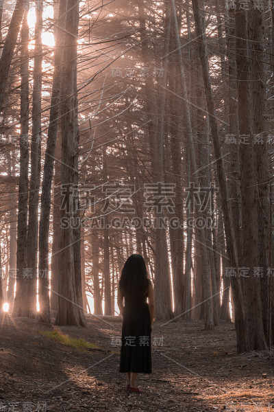 站在柏树林中的女人。