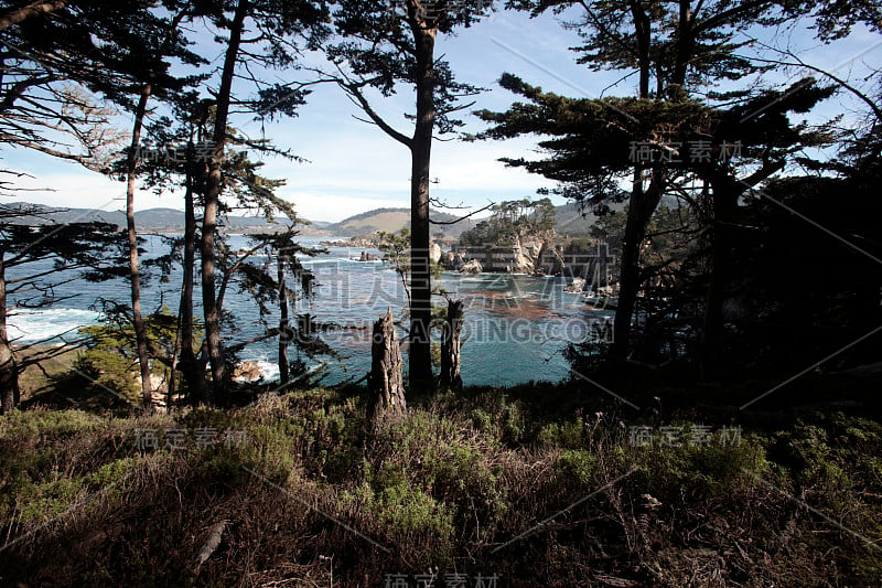 Point Lobos State Reserve, California