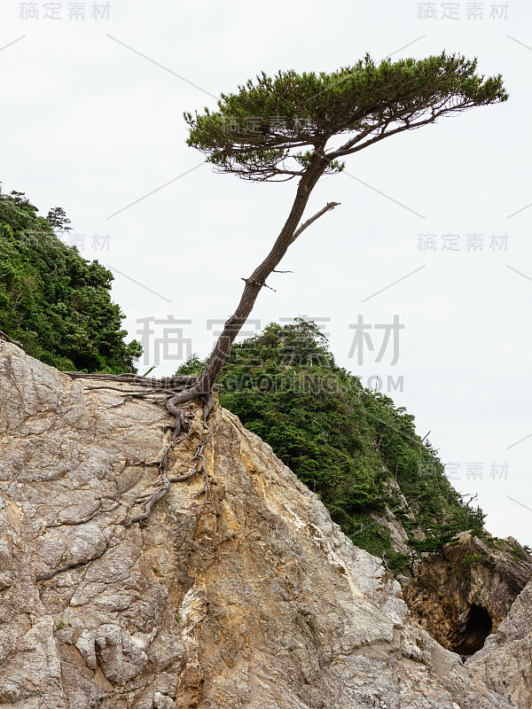 日本浦户海岸