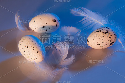 复活节静物鹌鹑蛋