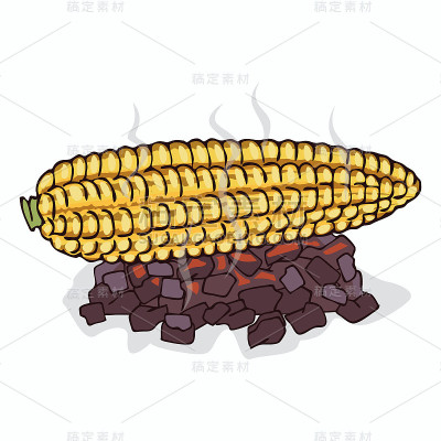 隔离烤玉米穗果实