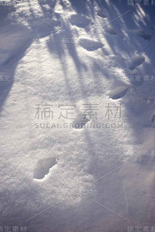 白色背景上的雪纹理