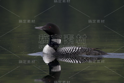 工资