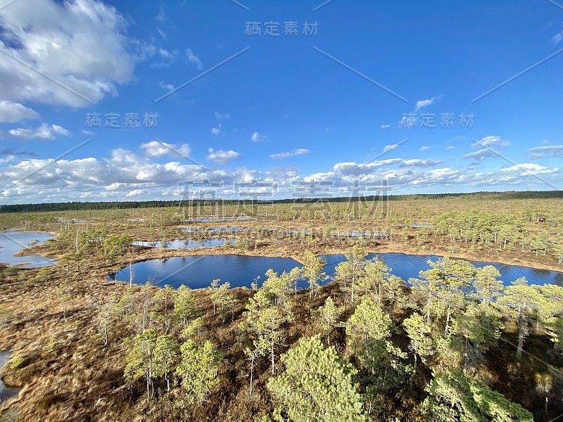 沼泽秋天国家公园克梅里拉脱维亚风景