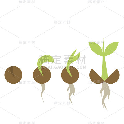 植物生长的一系列阶段