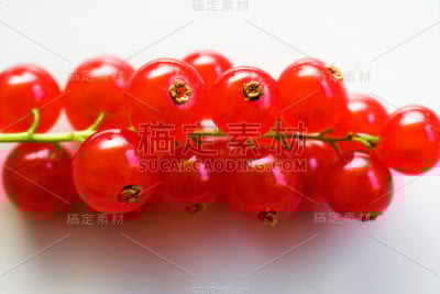 多汁的红醋栗