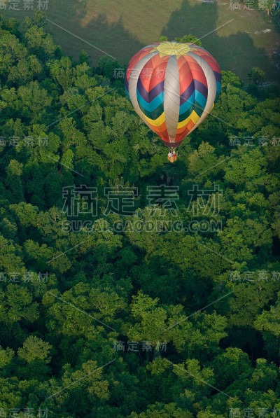 热空气在树梢上空飘过
