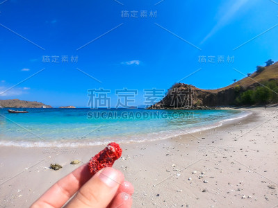弗洛雷斯-一个男人的手拿着红色的珊瑚
