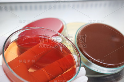 麦康基琼脂是一种具有选择性和差异性的细菌培养基。目的是选择性分离革兰氏阴性菌和肠道(通常在肠道中发现