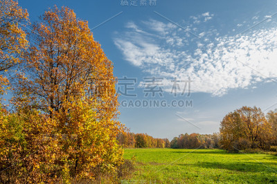 秋天的橡树