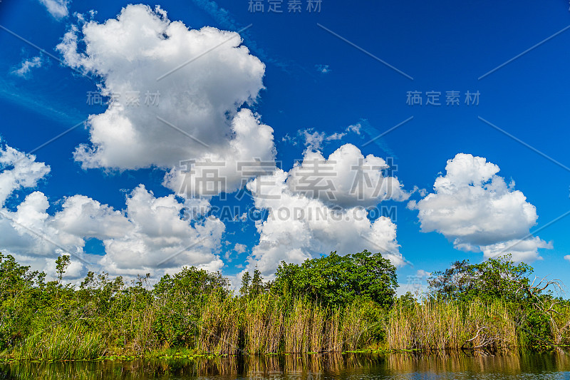 佛罗里达湿地，大沼泽地和弗朗西斯s泰勒野生动物管理区