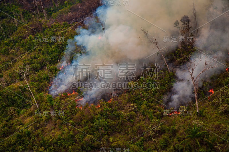 贾曼西姆国家森林内最近被烧毁和砍伐的地区。亚马逊雨林- Pará /巴西