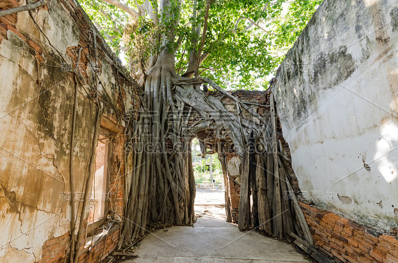 Wat Sang Kratai是一座有400年历史的寺庙。