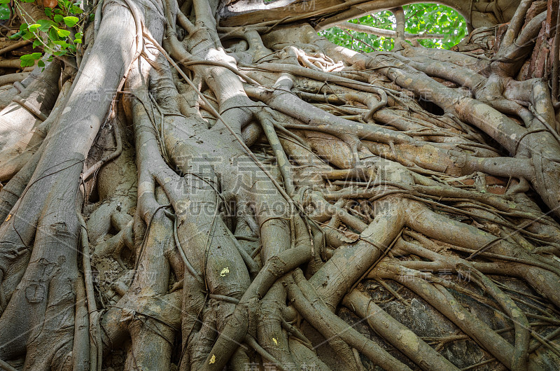 Wat Sang Kratai是一座有400年历史的寺庙。