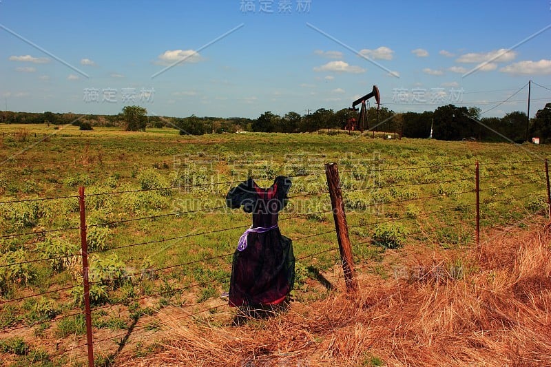 Vintage Dress Against Fence with Field and Oil Pum