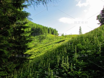 山牧场