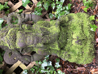 Ganesh