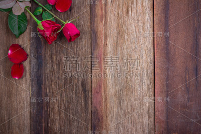木板上的红玫瑰