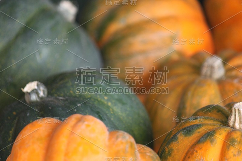 南瓜