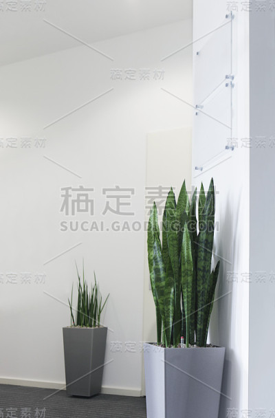 带花门板