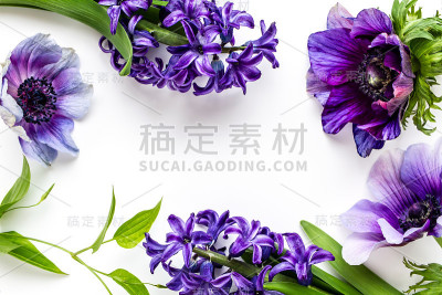 风信子和海葵植物架