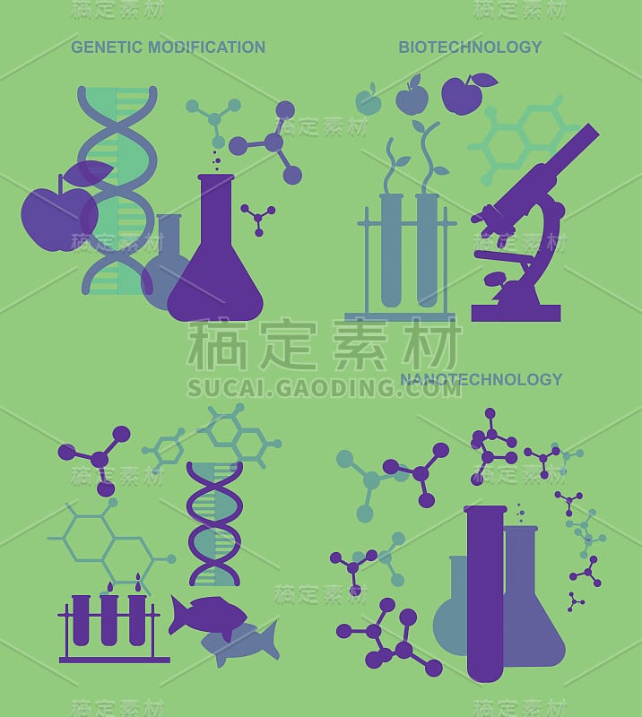 自拍照片家庭和夫妇向量