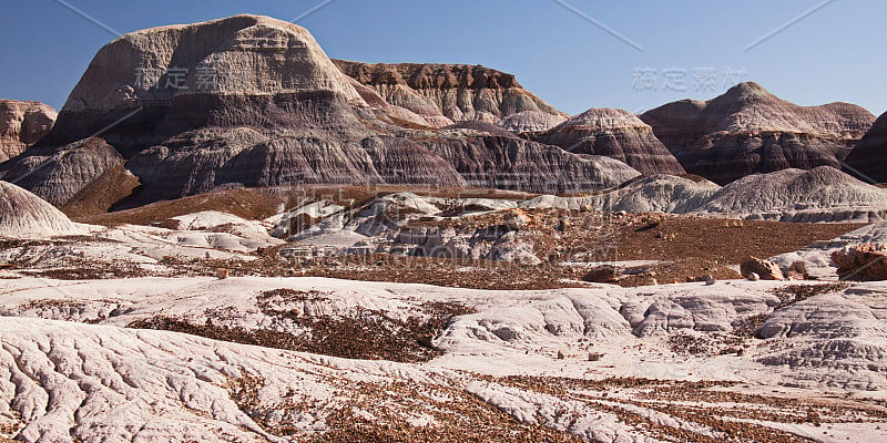 Blue Mesa Trail上的风景