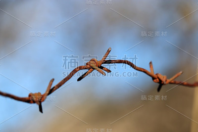 蓝色的天空和森林背景上生锈的铁丝网
