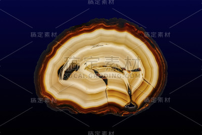 抛光的玛瑙和石英片，孤立在深色/白色背景上。