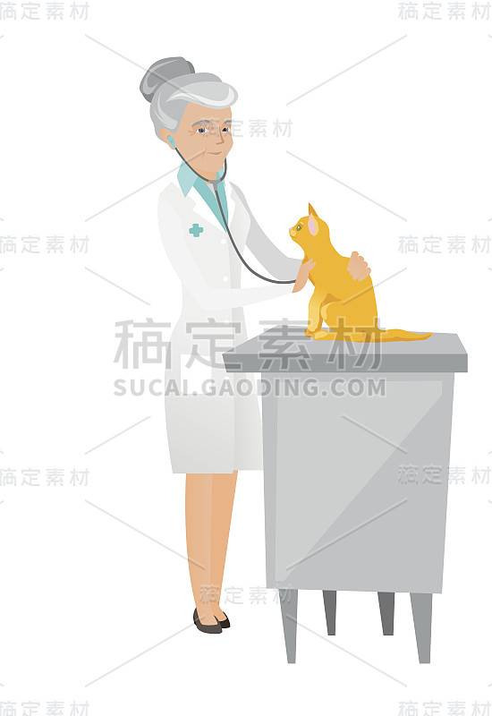 年长白种人兽医检查猫