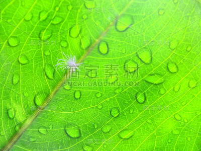 新鲜的3