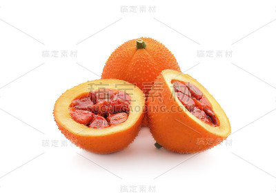 木鳖春孤立于白色背景上