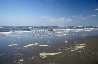 污染海滩