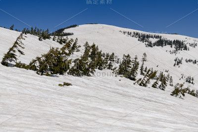 春天的爱祖玛阁山