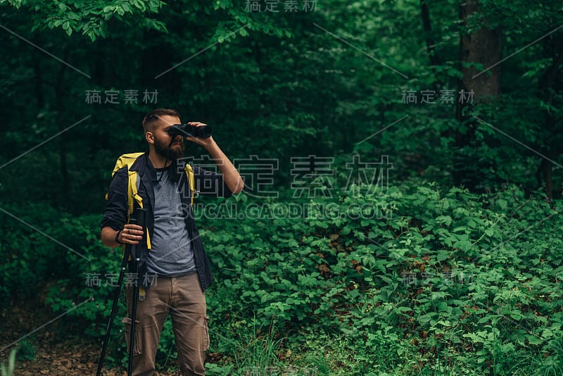 用登山杖和双筒望远镜在森林中行走的徒步旅行者